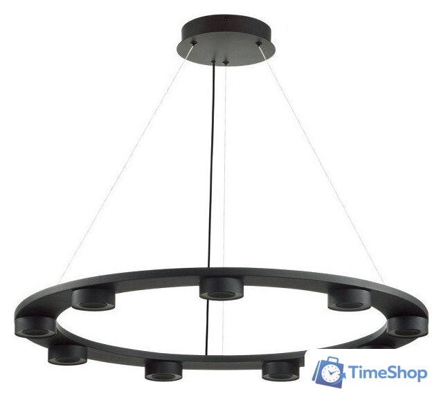 Подвесная люстра Odeon Light Turman 6631/75L - Изображение №1 — Интернет-магазин Time-Shop