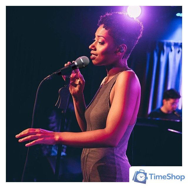 Проводной микрофон Audio-Technica ATR1300x - Изображение №6 — Интернет-магазин Time-Shop