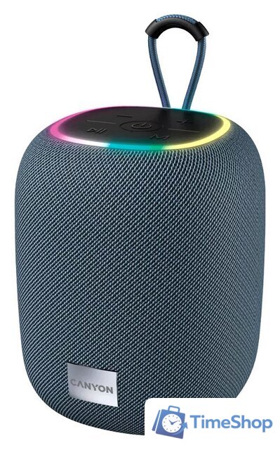 Беспроводная колонка Canyon BSP-8 (серый) - Изображение №1 — Интернет-магазин Time-Shop