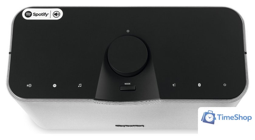 Беспроводная колонка Technisat AudioMaster MR2 - Изображение №2 — Интернет-магазин Time-Shop