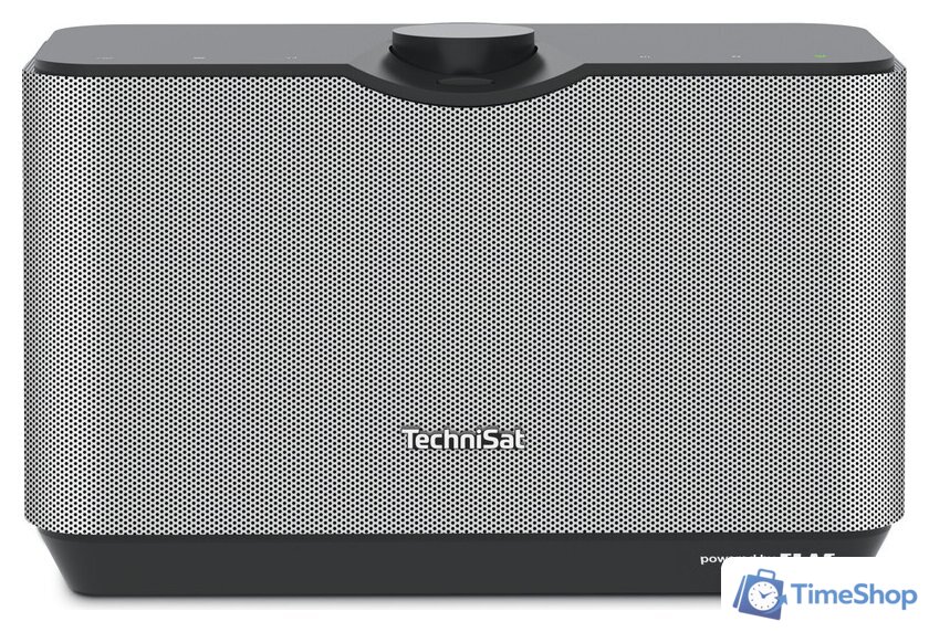 Беспроводная колонка Technisat AudioMaster MR2 - Изображение №1 — Интернет-магазин Time-Shop
