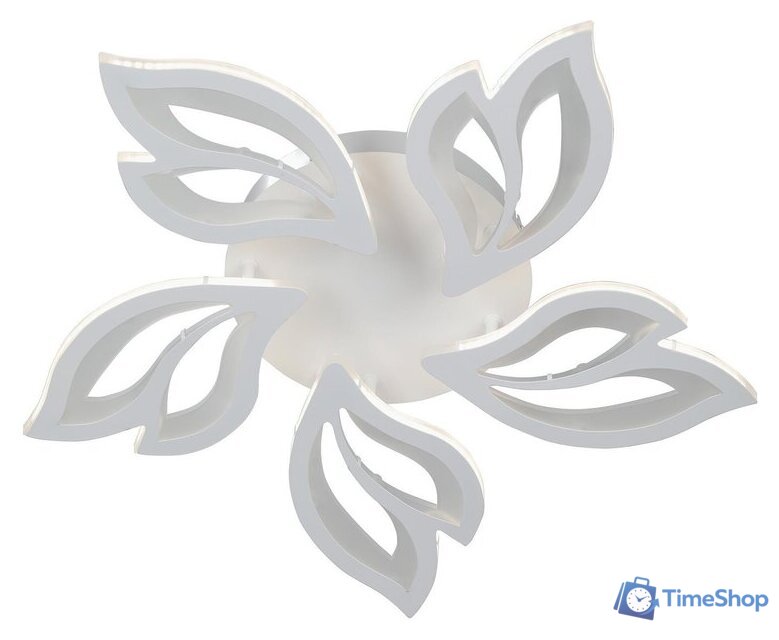  Vitaluce V3893-0/5PL - Изображение №3 — Интернет-магазин Time-Shop