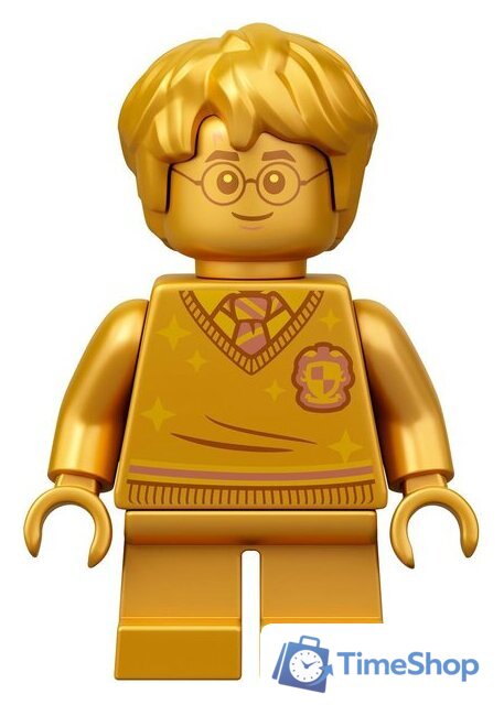 Конструктор LEGO Harry Potter 76386 Хогвартс: ошибка с оборотным зельем - Изображение №15 — Интернет-магазин Time-Shop