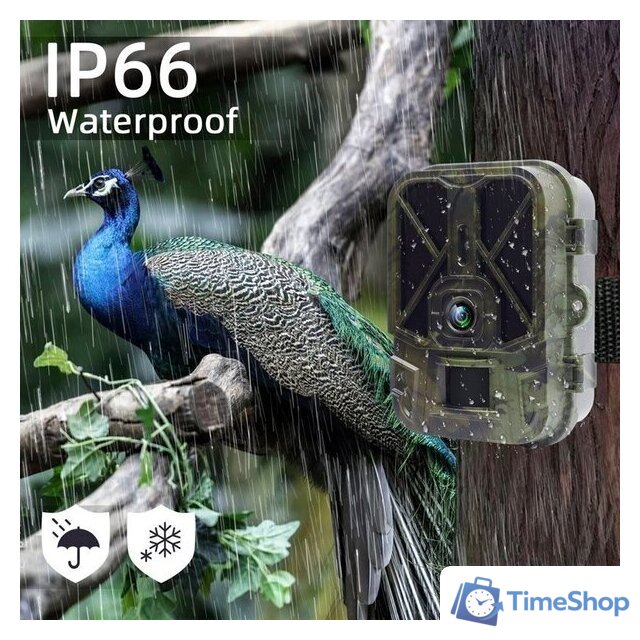 Фотоловушка Suntek HC-940A - Изображение №4 — Интернет-магазин Time-Shop