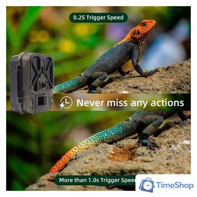 Фотоловушка Suntek HC-940A - Изображение №3 — Интернет-магазин Time-Shop