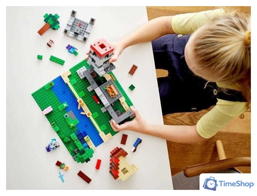 Конструктор LEGO Minecraft 21161 Набор для творчества 3.0 - Изображение №9 — Интернет-магазин Time-Shop