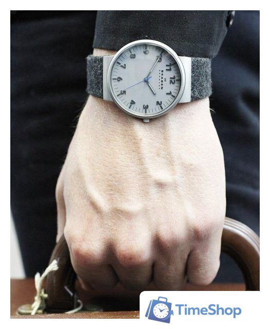 Наручные часы Skagen SKW6097 - Изображение №13 — Интернет-магазин Time-Shop