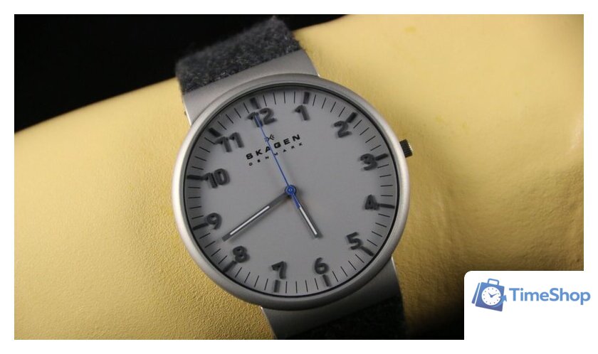 Наручные часы Skagen SKW6097 - Изображение №16 — Интернет-магазин Time-Shop