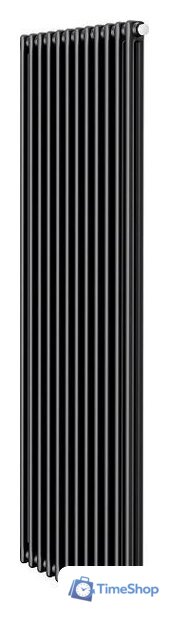 Стальной трубчатый радиатор Royal Thermo Insignia VC2180 - 12 секций RAL9005m - Изображение №1 — Интернет-магазин Time-Shop