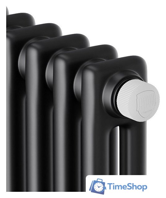 Стальной трубчатый радиатор Royal Thermo Insignia VC2180 - 12 секций RAL9005m - Изображение №3 — Интернет-магазин Time-Shop