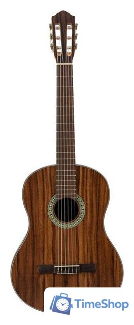 Акустическая гитара Flight C-110 Teak 4/4 - Изображение №1 — Интернет-магазин Time-Shop