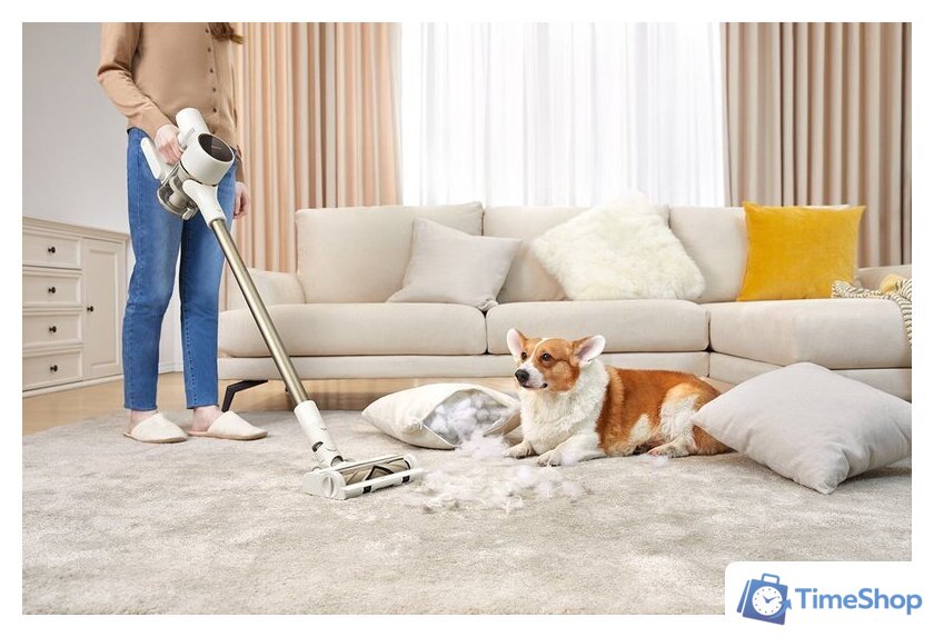 Пылесос Dreame R10 (европейская версия) - Изображение №20 — Интернет-магазин Time-Shop