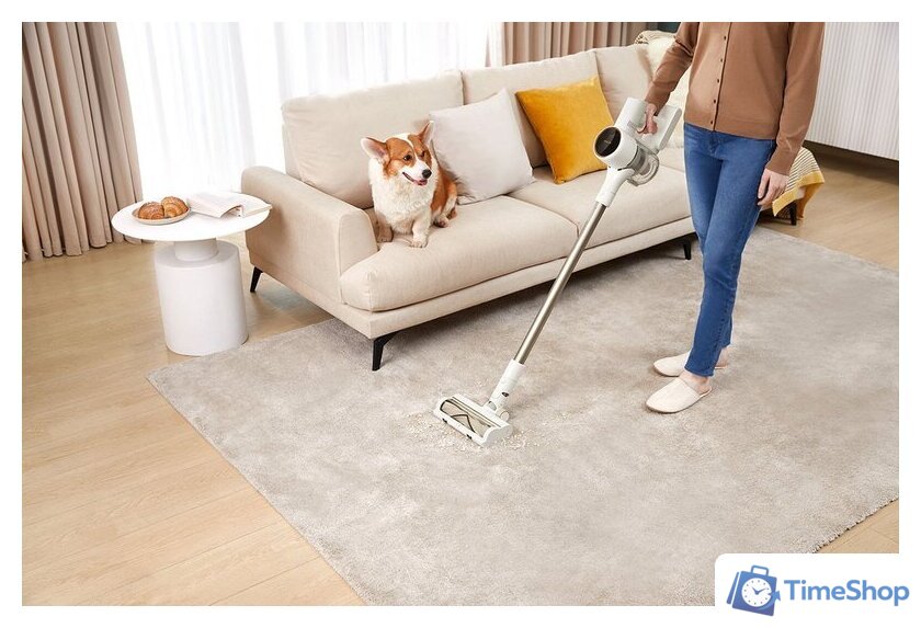 Пылесос Dreame R10 (европейская версия) - Изображение №18 — Интернет-магазин Time-Shop