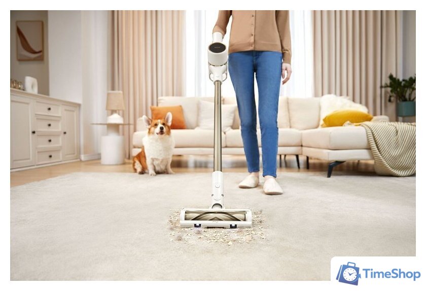 Пылесос Dreame R10 (европейская версия) - Изображение №15 — Интернет-магазин Time-Shop