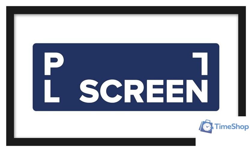 Проекционный экран PL Vista FXB-9120-23 - Изображение №1 — Интернет-магазин Time-Shop