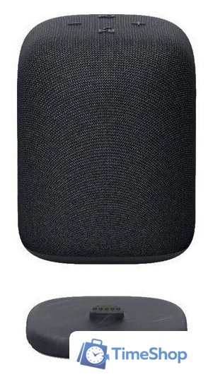 Беспроводная колонка Sony LinkBuds SRS-LS1 (черный) - Изображение №2 — Интернет-магазин Time-Shop
