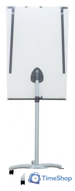 Магнитно-маркерная доска CACTUS CS-FCR-M67x105 - Изображение №4 — Интернет-магазин Time-Shop