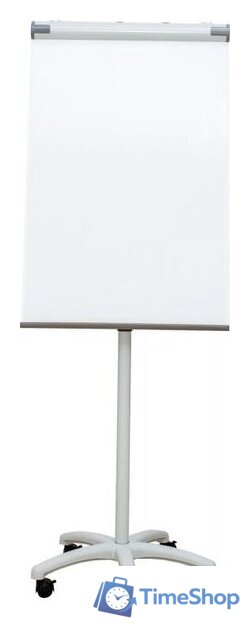 Магнитно-маркерная доска CACTUS CS-FCR-M67x105 - Изображение №1 — Интернет-магазин Time-Shop