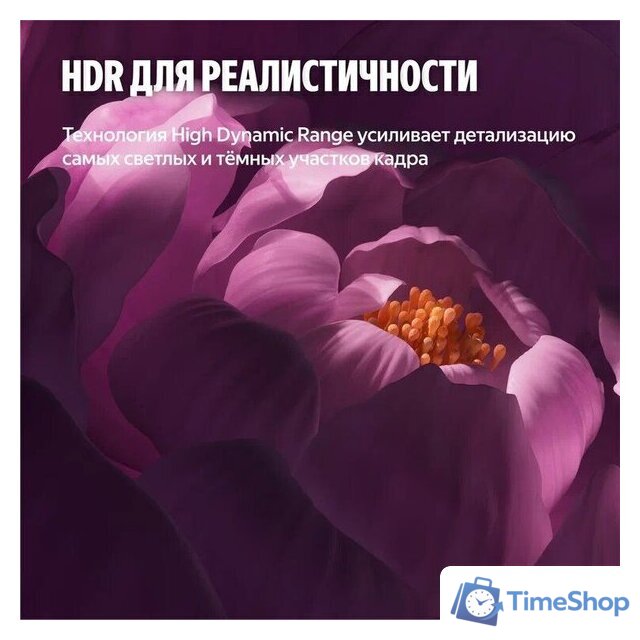 Телевизор Яндекс ТВ Станция Бейсик QLED с Алисой 50 - Изображение №12 — Интернет-магазин Time-Shop