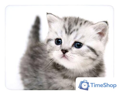 Коврик для мыши Buro BU-M40087 - Изображение №1 — Интернет-магазин Time-Shop