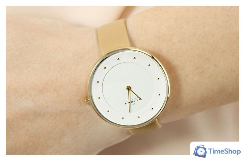 Наручные часы Skagen SKW2137 - Изображение №14 — Интернет-магазин Time-Shop