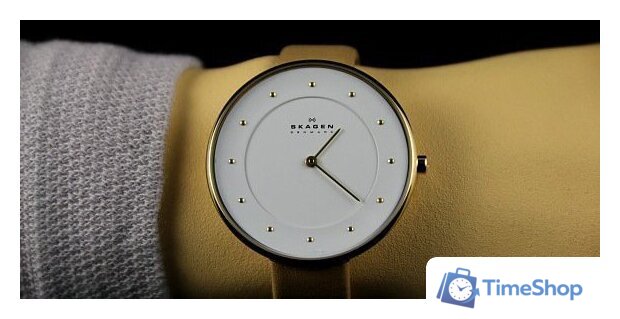 Наручные часы Skagen SKW2137 - Изображение №21 — Интернет-магазин Time-Shop