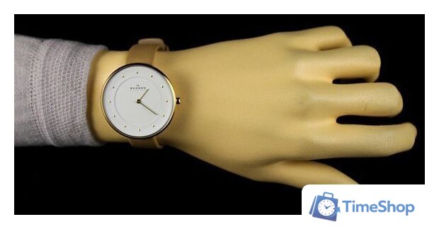 Наручные часы Skagen SKW2137 - Изображение №16 — Интернет-магазин Time-Shop