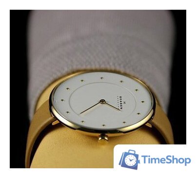Наручные часы Skagen SKW2137 - Изображение №18 — Интернет-магазин Time-Shop