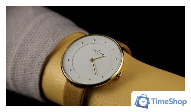 Наручные часы Skagen SKW2137 - Изображение №19 — Интернет-магазин Time-Shop