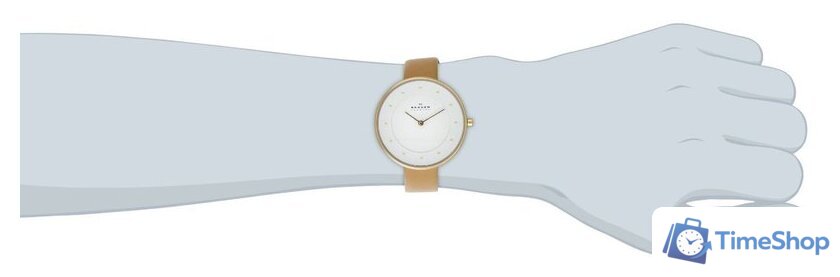 Наручные часы Skagen SKW2137 - Изображение №15 — Интернет-магазин Time-Shop
