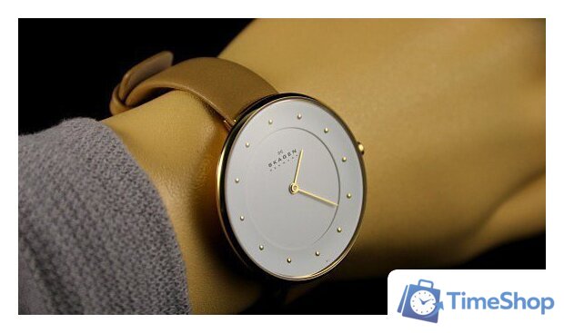 Наручные часы Skagen SKW2137 - Изображение №17 — Интернет-магазин Time-Shop