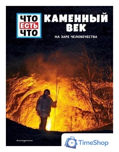 Книга издательства Эксмо. КАМЕННЫЙ ВЕК. На заре человечества (Калинина Л.В./Шаллер Андреа) - Изображение №5 — Интернет-магазин Time-Shop