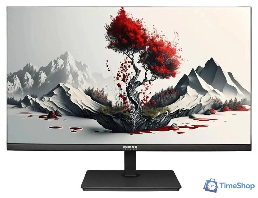 Монитор RDW Computers 2401K/F00В3100V2A1H - Изображение №1 — Интернет-магазин Time-Shop