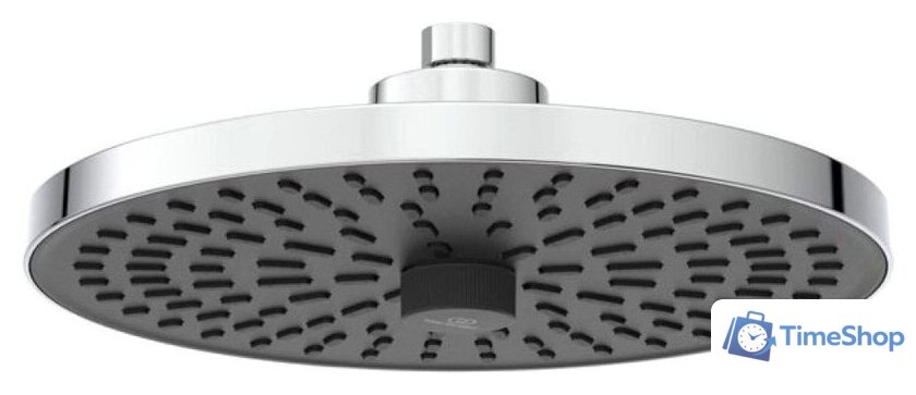 Душевая лейка Ideal Standard BD581AA (хром) - Изображение №1 — Интернет-магазин Time-Shop