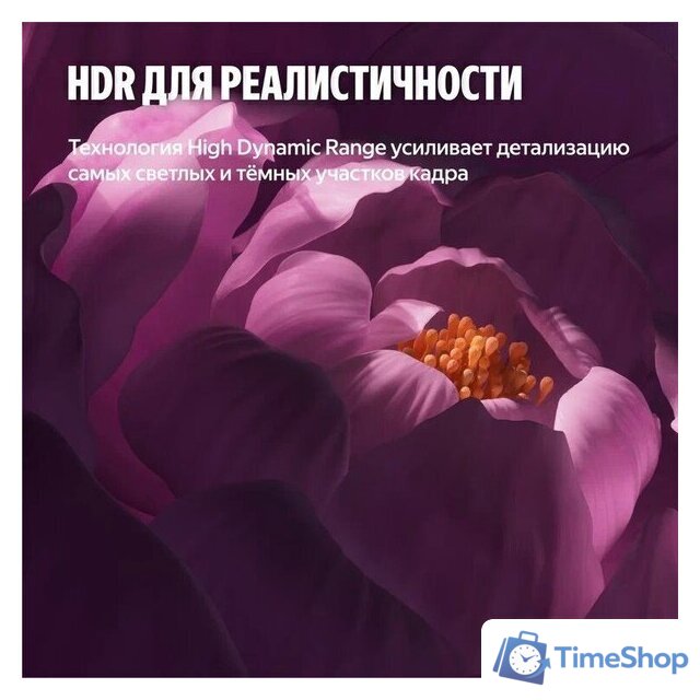 Телевизор Яндекс ТВ Станция Бейсик QLED с Алисой 43 - Изображение №14 — Интернет-магазин Time-Shop