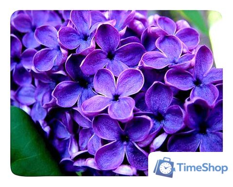 Коврик для мыши Buro BU-M20049 - Изображение №1 — Интернет-магазин Time-Shop