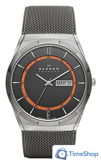 Наручные часы Skagen SKW6007 - Изображение №1 — Интернет-магазин Time-Shop