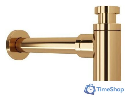 Сифон Lauter 21635G (золото) - Изображение №1 — Интернет-магазин Time-Shop