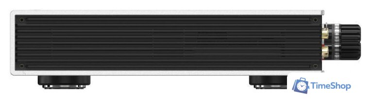 Усилитель мощности Matrix Audio Element P2 - Изображение №6 — Интернет-магазин Time-Shop