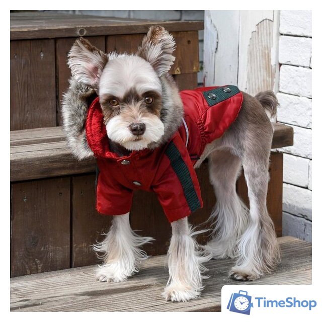 Куртка для животных Puppia Brock с капюшоном PAUD-JM1851-RD-L (красный) - Изображение №4 — Интернет-магазин Time-Shop