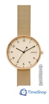 Наручные часы Skagen SKW2625 - Изображение №1 — Интернет-магазин Time-Shop
