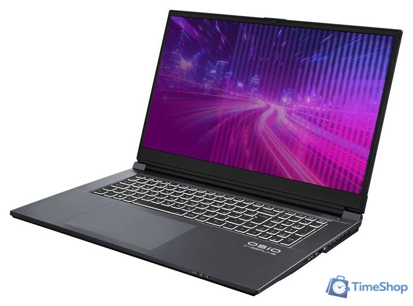 Игровой ноутбук OSiO CyberLine C170i-002 - Изображение №3 — Интернет-магазин Time-Shop