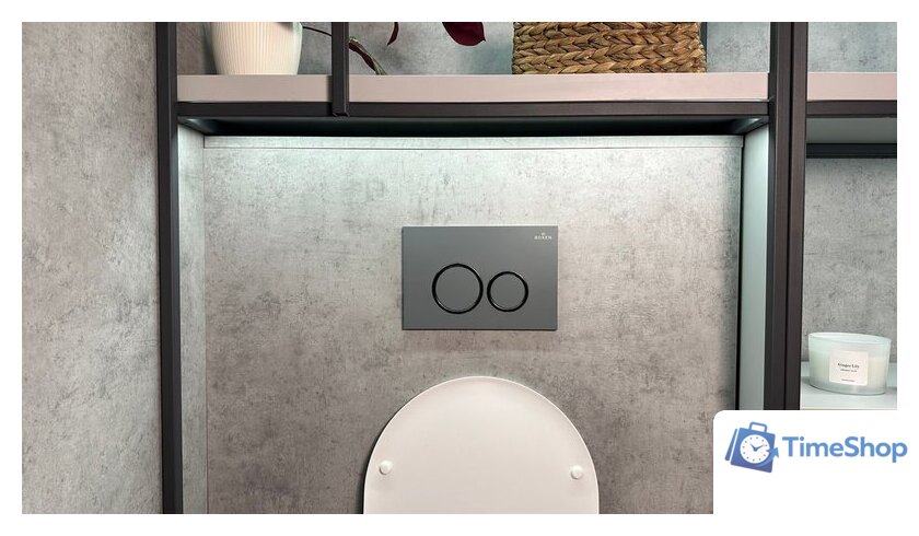 Панель смыва Roxen Santi 410260DG - Изображение №4 — Интернет-магазин Time-Shop