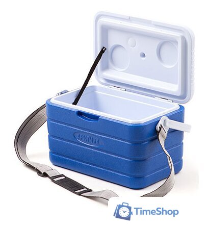 Автомобильный холодильник Арктика 2000-10 - Изображение №6 — Интернет-магазин Time-Shop