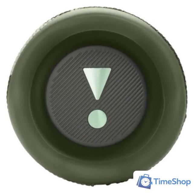 Беспроводная колонка JBL Flip 6 (камуфляж) - Изображение №5 — Интернет-магазин Time-Shop