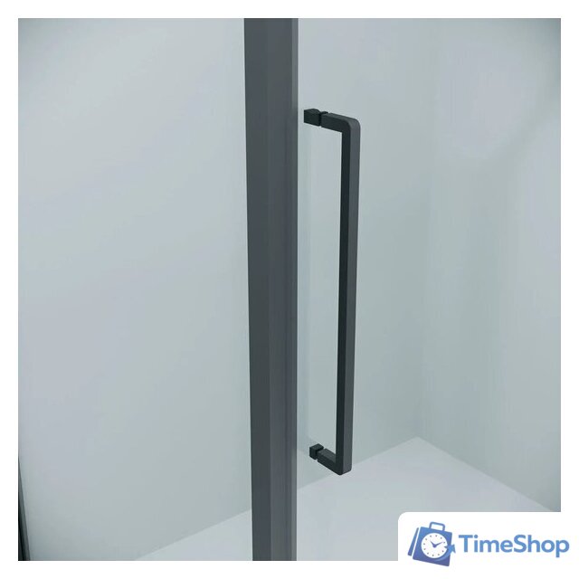 Душевая дверь Niagara Nova NG-35-12AGR 120х195 (графит/прозрачное стекло) - Изображение №3 — Интернет-магазин Time-Shop