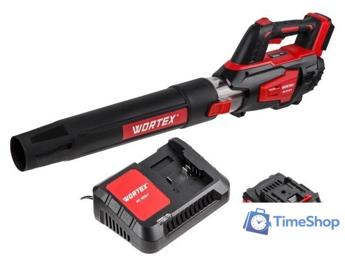 Ручная воздуходувка Wortex BB 2018 D ALL1 XLT Set 1333739 (с 1-им АКБ) - Изображение №1 — Интернет-магазин Time-Shop