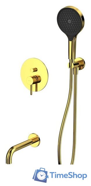 Душевой гарнитур  Whitecross Y YSET06TOPGL (золото) - Изображение №1 — Интернет-магазин Time-Shop