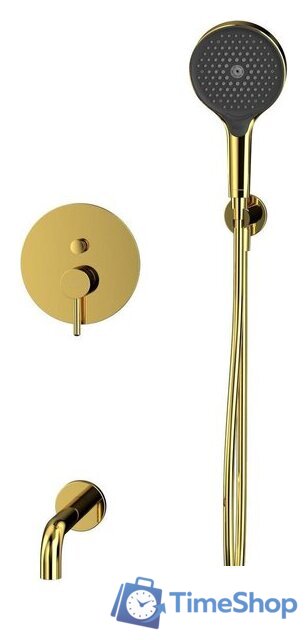 Душевой гарнитур  Whitecross Y YSET06TOPGL (золото) - Изображение №2 — Интернет-магазин Time-Shop
