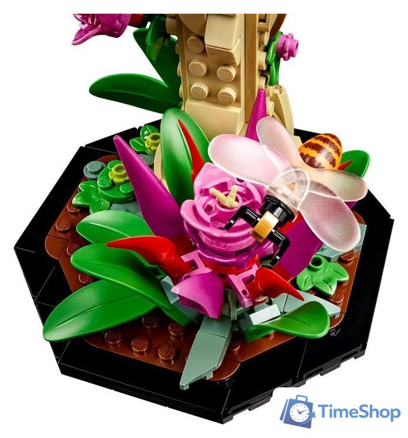Конструктор LEGO Ideas 21342 Коллекция насекомых - Изображение №8 — Интернет-магазин Time-Shop